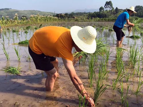 QQ图片20170728183025