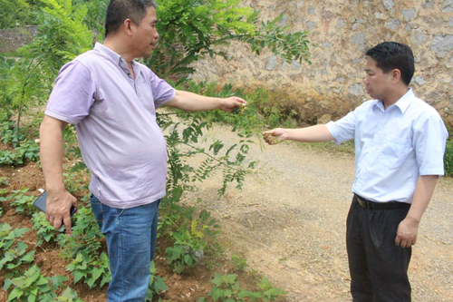 24F6818391251C26AE440BF708776125